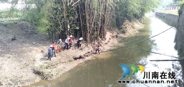 泸县玉蟾街道：狠抓河道整治 守护绿水青山(图12)