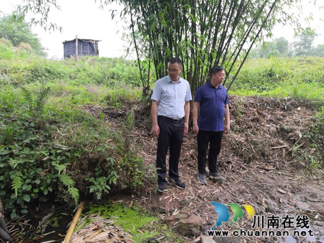 杨双全到泸县玉蟾街道督导河长制及生态环保工作