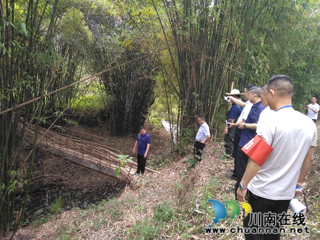 杨双全到泸县玉蟾街道督导河长制及生态环保工作(图3)
