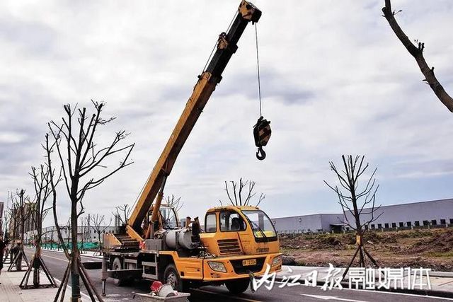 长11.8公里,投资5.1亿!内江城区又一条大道来了(图2) 长11.8公里,投资5.1亿!内江城区又一条大道来了(图2)