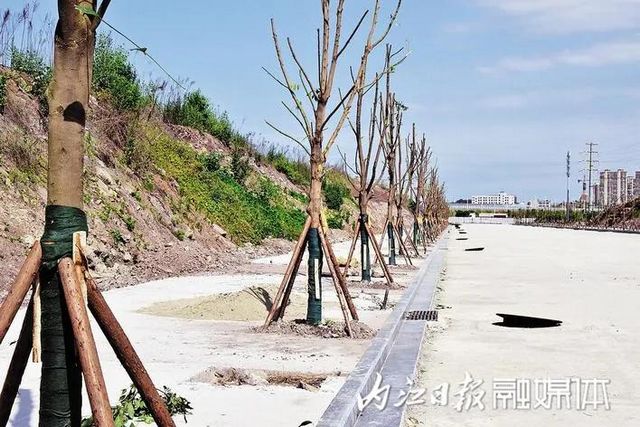 长11.8公里,投资5.1亿!内江城区又一条大道来了(图3) 长11.8公里,投资5.1亿!内江城区又一条大道来了(图3)