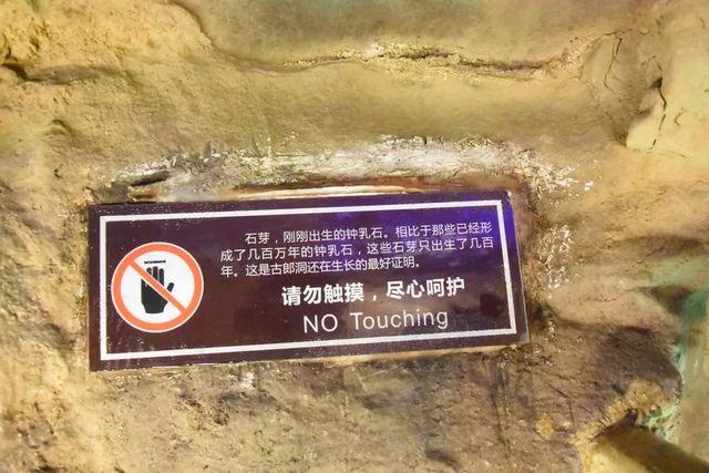 视频 | 女游客掰断古蔺景区内两颗万年石钟乳 法院判赔2500元