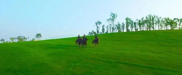 新地标!内江这里在重资打造AAAA级休闲胜地——(图12) 新地标!内江这里在重资打造AAAA级休闲胜地——(图12)