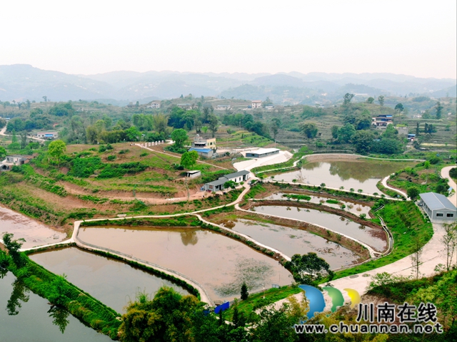 泸县：产业扶贫激活“造血”功能  吉祥村成幸福村