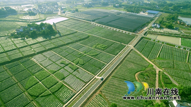 中国旅游日，在新晋网红打卡地，幸福江阳邀你举杯世界！(图13)