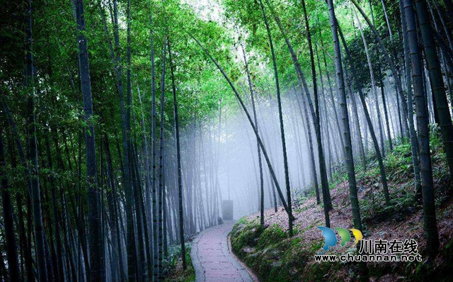 福利来了！泸州宜宾江津景区联手惠民：上万张门票免费送！(图3)