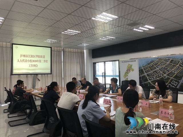 江阳区华阳街道人大工委组织区人大代表开展集中调研视察活动暨2020年第二季度工作例会