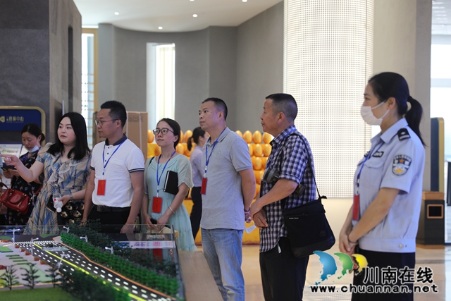 江阳区华阳街道人大工委组织区人大代表开展集中调研视察活动暨2020年第二季度工作例会(图2)