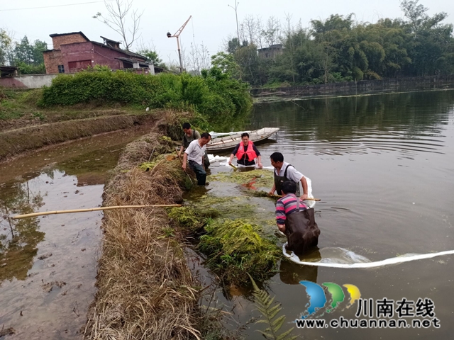 泸县云龙镇：河道治理综合施策，清河护岸持续加力(图3)
