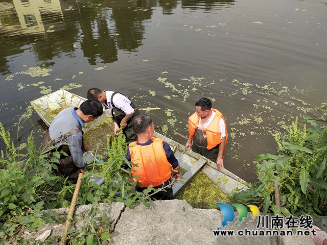 泸县云龙镇：河道治理综合施策，清河护岸持续加力(图5)