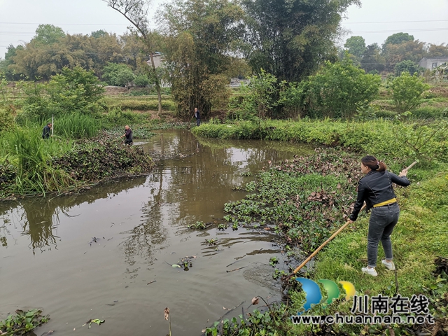 泸县云龙镇：河道治理综合施策，清河护岸持续加力(图4)