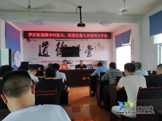 龙马潭区罗汉街道群丰村召开应急队员培训工作会