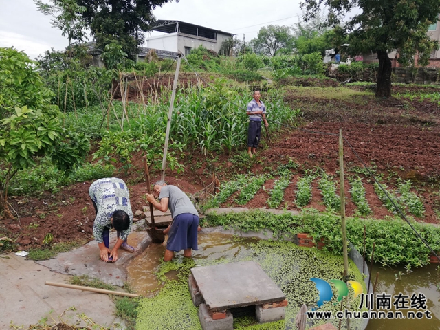 泸县玉蟾街道督导水产养殖污染整治工作(图11)