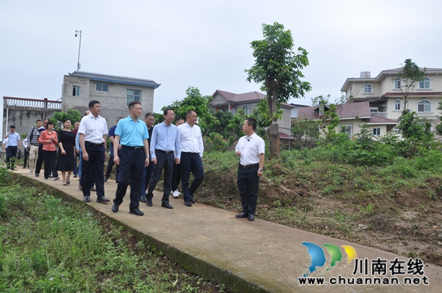 福建省农业科学院院长翁启勇到泸县调研龙眼产业工作(图2)