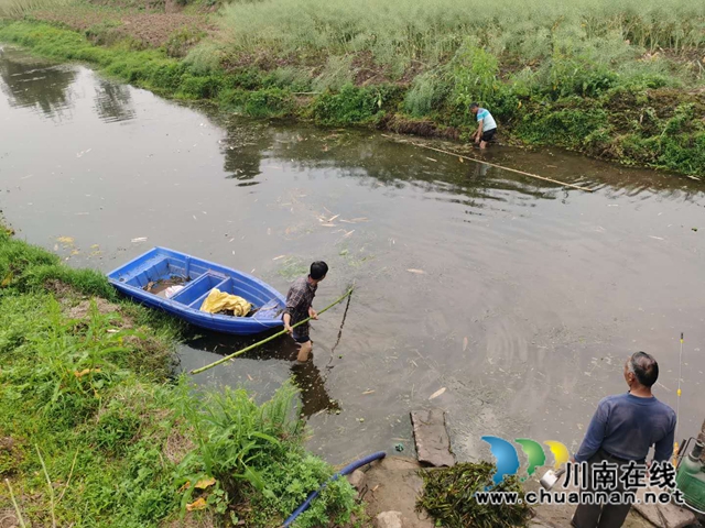 泸县百和镇：坚守生态红线 筑牢环保底线(图1)