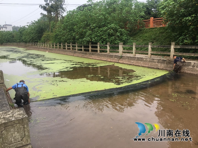 泸县百和镇：坚守生态红线 筑牢环保底线(图2)