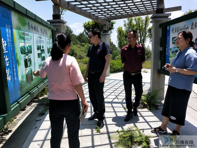 泸州市城管执法局督查泸县农村生活垃圾治理工作(图2)