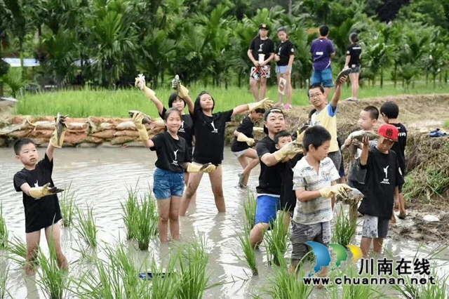 水美上马•好享纳溪||首届“中国·麒麟水镇”乡村文化旅游季正式启动！(图9)