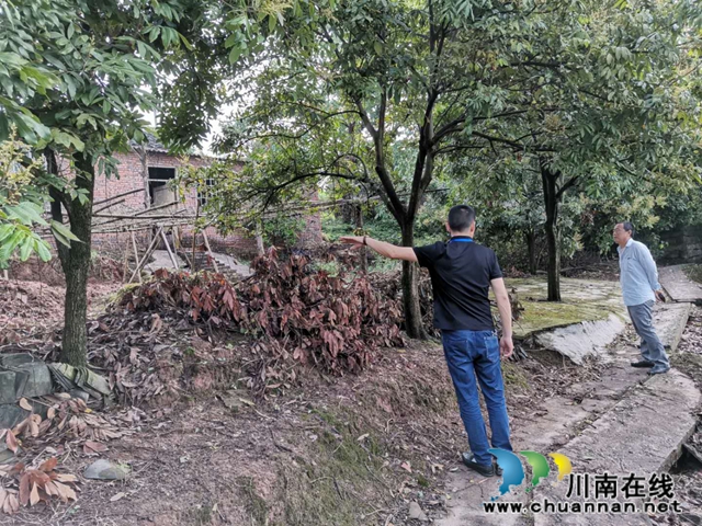 江阳区茜草街道沙坪社区积极开展雨后安全隐患排查工作(图1)