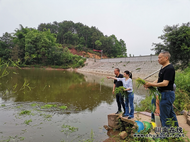 脱贫攻坚 泸县玄滩镇龙凤村飞来“金凤凰”(图7) 脱贫攻坚 泸县玄滩镇龙凤村飞来“金凤凰”(图7)