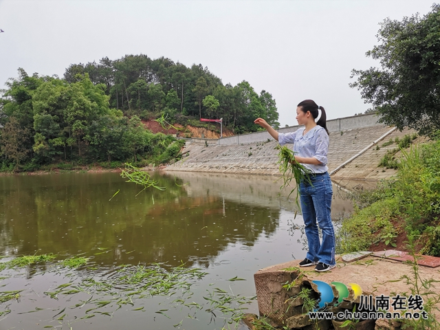 脱贫攻坚 泸县玄滩镇龙凤村飞来“金凤凰”(图8) 脱贫攻坚 泸县玄滩镇龙凤村飞来“金凤凰”(图8)