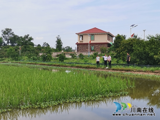 泸县玄滩镇涂场村:驻村帮扶,他让贫困村变为乡村振兴示范村(图8) 泸县玄滩镇涂场村:驻村帮扶,他让贫困村变为乡村振兴示范村(图8)