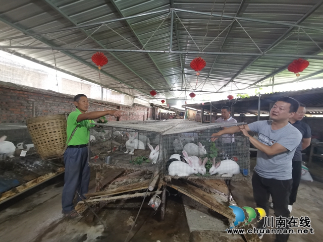 泸县玄滩镇涂场村:驻村帮扶,他让贫困村变为乡村振兴示范村(图5) 泸县玄滩镇涂场村:驻村帮扶,他让贫困村变为乡村振兴示范村(图5)