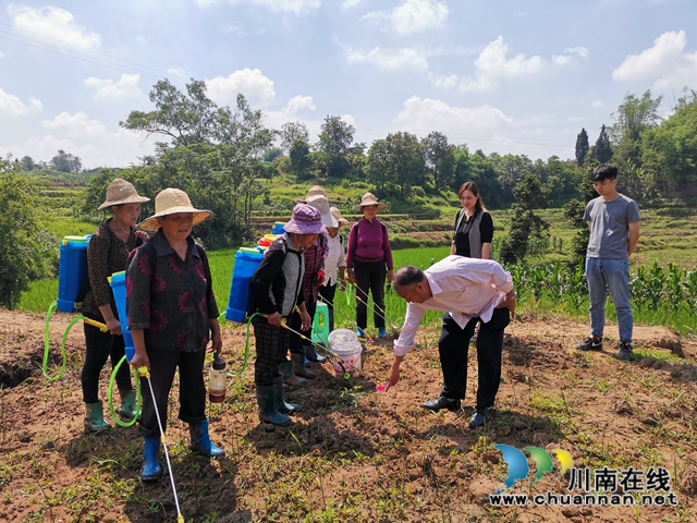 泸县玄滩镇新屋村：驻村三年 外来人姜慧变成”新屋女儿“(图7)