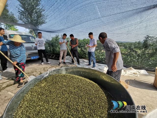 泸县云锦镇:真帮实扶 贫困村天台寺村蝶变新生(图4) 泸县云锦镇:真帮实扶 贫困村天台寺村蝶变新生(图4)