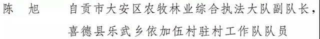 自贡多个集体和个人荣获全省脱贫攻坚先进表扬!(图4) 自贡多个集体和个人荣获全省脱贫攻坚先进表扬!(图4)