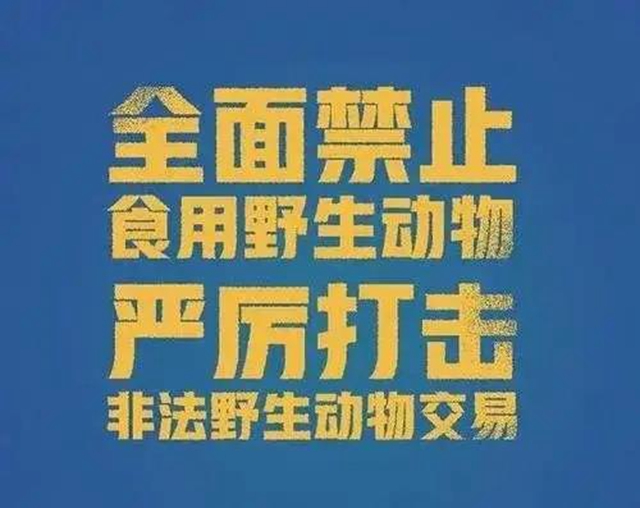 【江阳区人民法院庭审直播预告】八名被告人涉嫌犯非法收购、运输、出售珍贵、濒危野生动物、野生动物制品罪(图2)