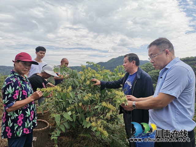 泸县喻寺镇：助人自助 周堰村驻村工作队造血式扶贫(图3)