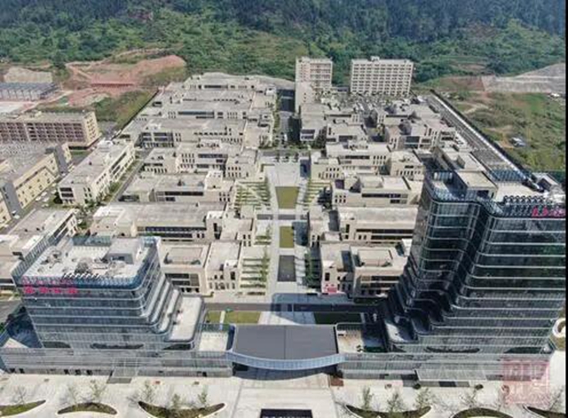 抓项目促投资，来看宜宾马力十足的“双轮驱动”(图4)