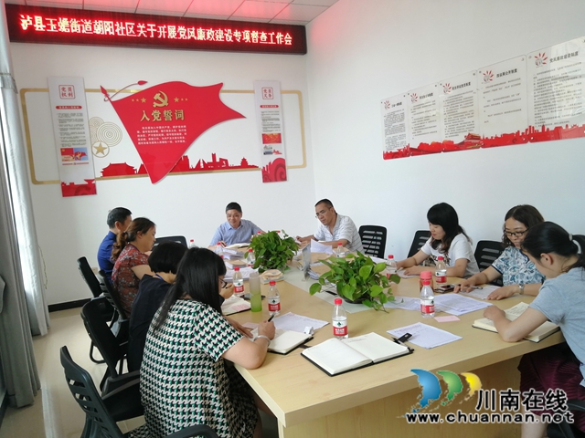 泸县玉蟾街道人大工委开展党风廉政建设督导工作(图2)