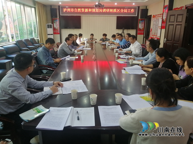 泸州市自然资源和规划局调研纳溪区分局工作(图1)