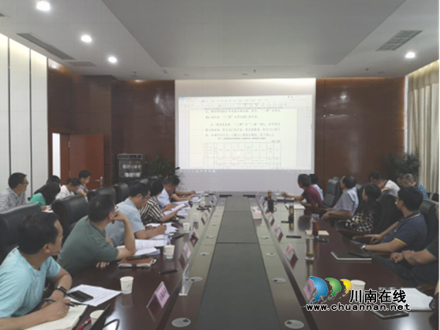 泸州市召开“三调”初始调查成果数据分析研讨会(图2)