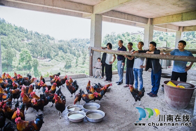 古蔺：先进贫困户当脱贫“活教材”， “串门”串出“脱贫力量”(图1)