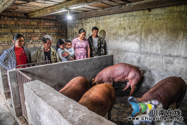 古蔺：先进贫困户当脱贫“活教材”， “串门”串出“脱贫力量”(图5)