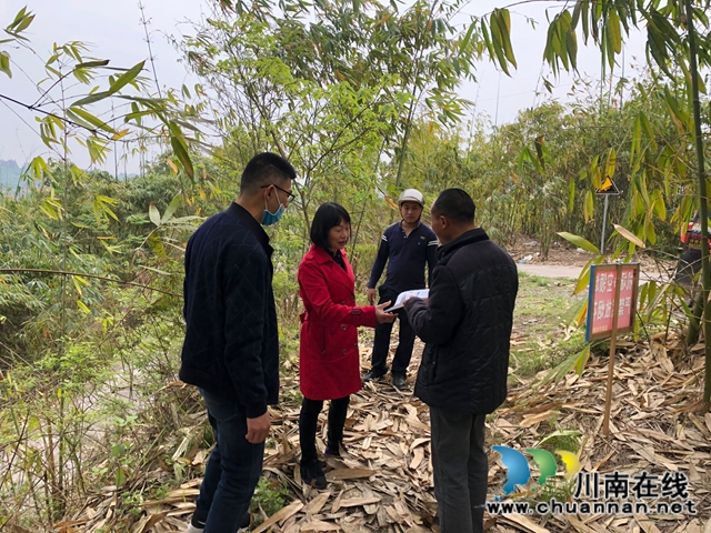 泸县云龙镇：多措并举全力筑牢森林防火防线(图4)