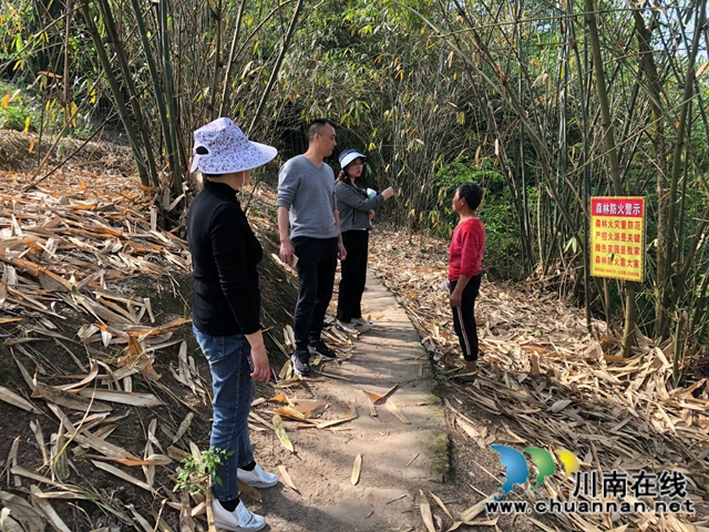 泸县云龙镇：多措并举全力筑牢森林防火防线(图5)