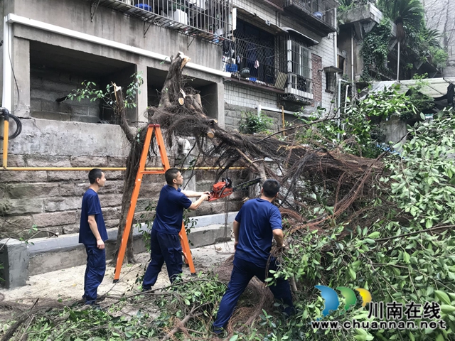 龙马潭区小市街道：排危除险，贴心为民(图2)