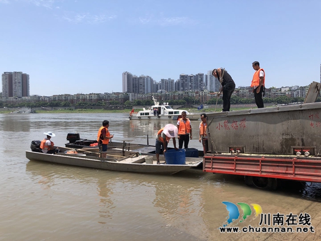 合江：抓好增殖放流工作，助推水域生态建设(图1)