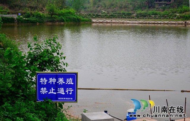 宜宾南溪区长兴镇庆林村:狠抓产业发展着力打造乡村振兴示范村(图2) 宜宾南溪区长兴镇庆林村:狠抓产业发展着力打造乡村振兴示范村(图2)