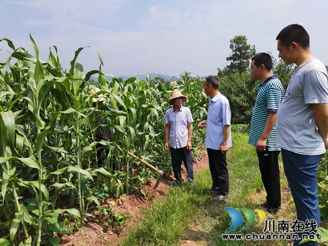 泸县天兴镇志城村：办市场、兴产业、育能人 驻村工作队的三大脱贫法宝(图4)