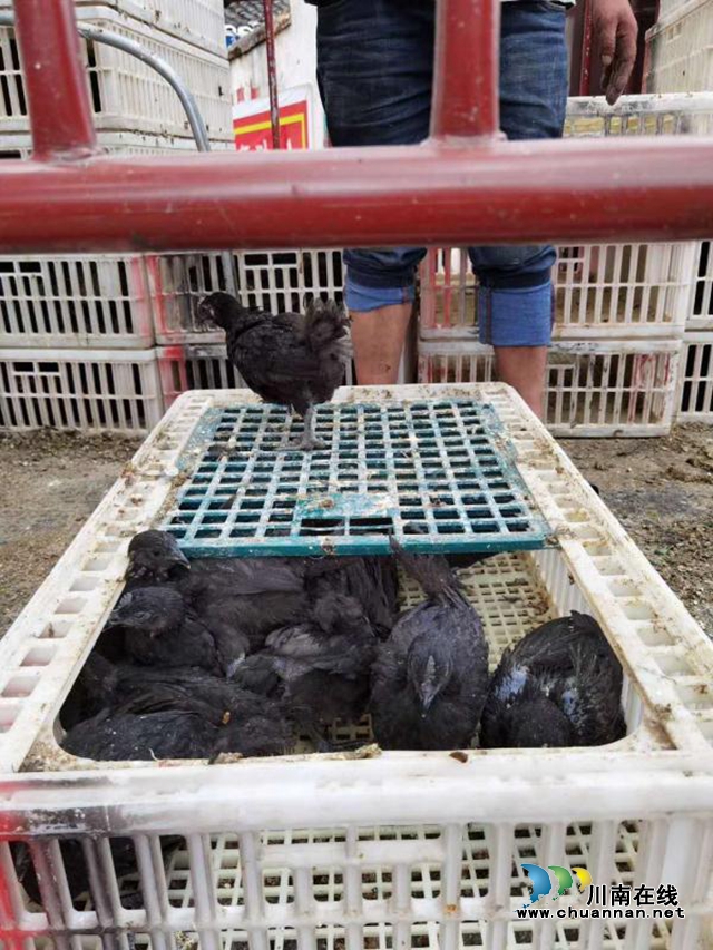盐源县工商联：感谢江阳区工商联！感谢江阳区爱心企业！(图4)