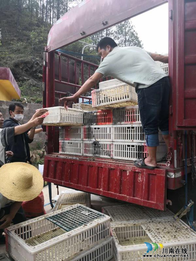 盐源县工商联：感谢江阳区工商联！感谢江阳区爱心企业！(图6)