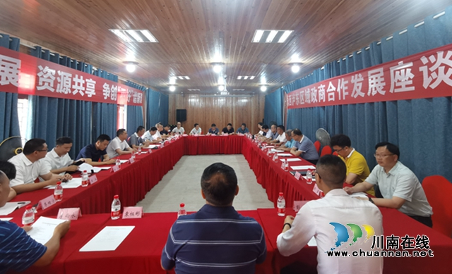 永西泸东区域政商合作发展座谈会在泸县立石镇召开(图1)