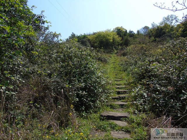 王丽川：爬鹿游坎(图2)