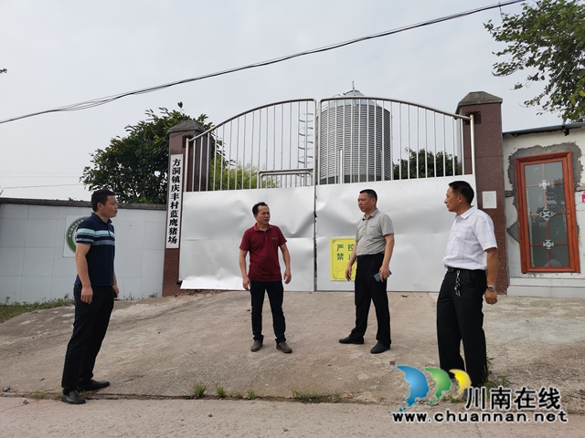 泸县方洞镇庆丰村：种养循环保生态  生猪寄养稳增收(图2)