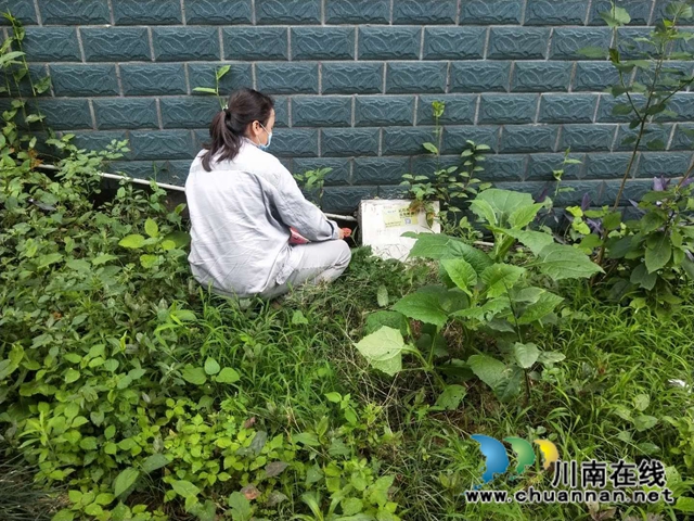 江阳区茜草街道沙坪社区开展地毯式“除四害”活动(图1)